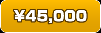 ￥45,000